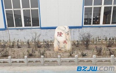 定型锚栓 金属门窗工程的坚固基石